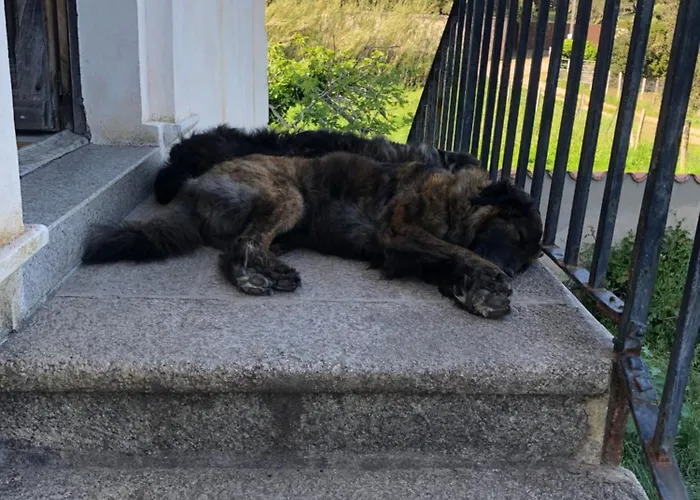 A Loghja Di Cavallo Morto Panzió 3*