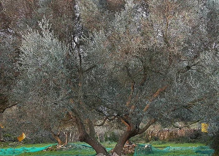 Panzió A Loghja Di Cavallo Morto Bonifacio