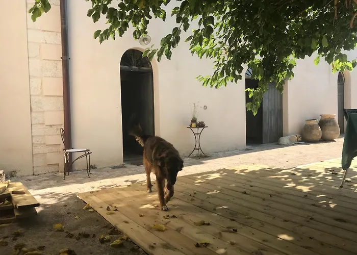 A Loghja Di Cavallo Morto