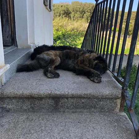 A Loghja Di Cavallo Morto B&B 3*