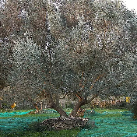 Alojamento de Acomodação e Pequeno-almoço A Loghja Di Cavallo Morto Bonifacio (Corsica)