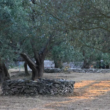 Bed & Breakfast A Loghja Di Cavallo Morto Bonifacio (Corsica)