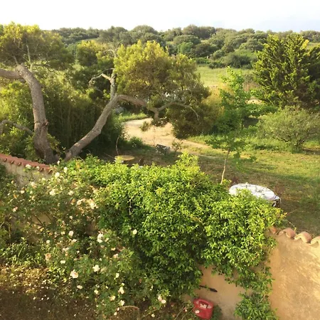 A Loghja Di Cavallo Morto Bed & Breakfast Bonifacio (Corsica)