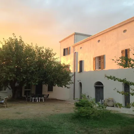 Couette-café A Loghja Di Cavallo Morto 3*