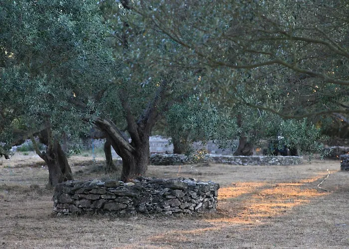 Bed & Breakfast A Loghja Di Cavallo Morto Bonifacio (Corsica)