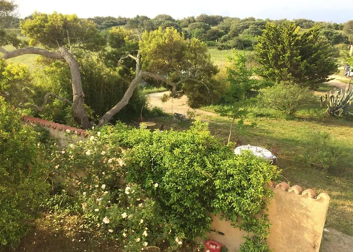 A Loghja Di Cavallo Morto Bed & Breakfast Bonifacio (Corsica)